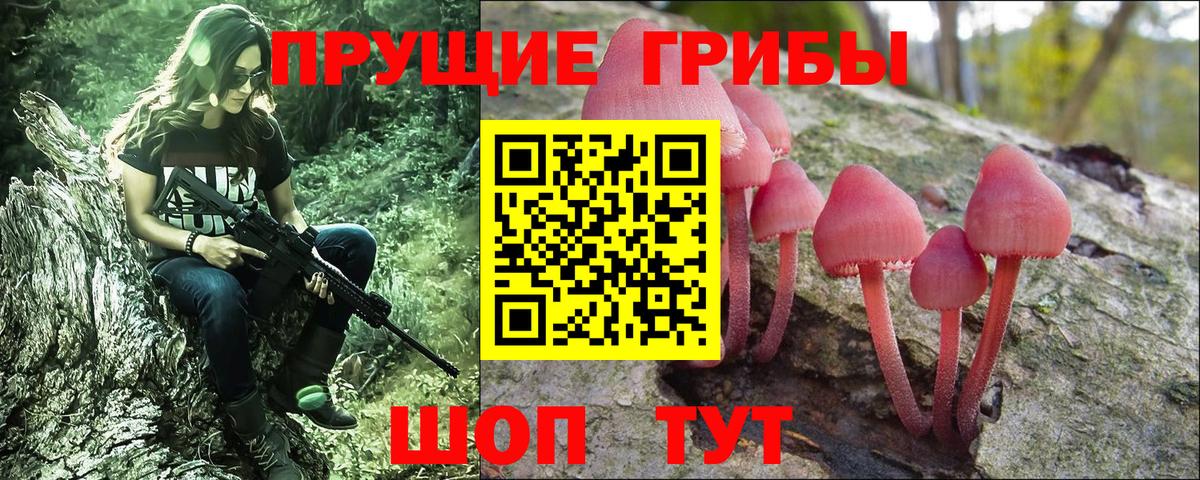 Галлюциногенные грибы мицелий Иваново