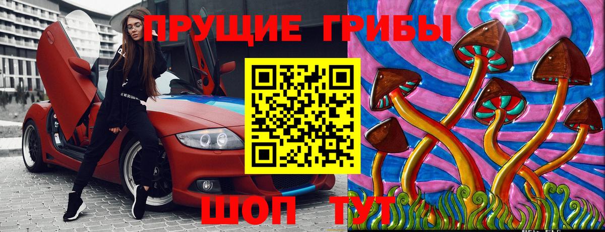Иваново  Галлюциногенные грибы прущие грибы  Вход с VPN  Галлюциногенные грибы мицелий 